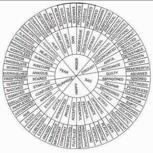 Meet your Posher, Nhật minh